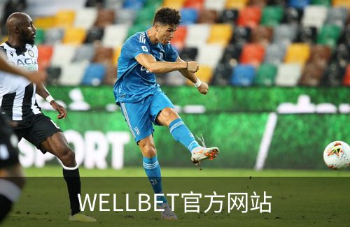 WELLBET官方网站概况